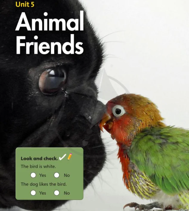 Unit 5: Animal Friends