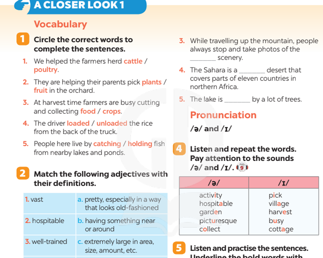 a-closer-look-1-5799