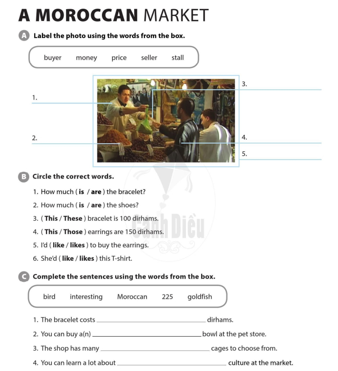 a-moroccan-market-9408