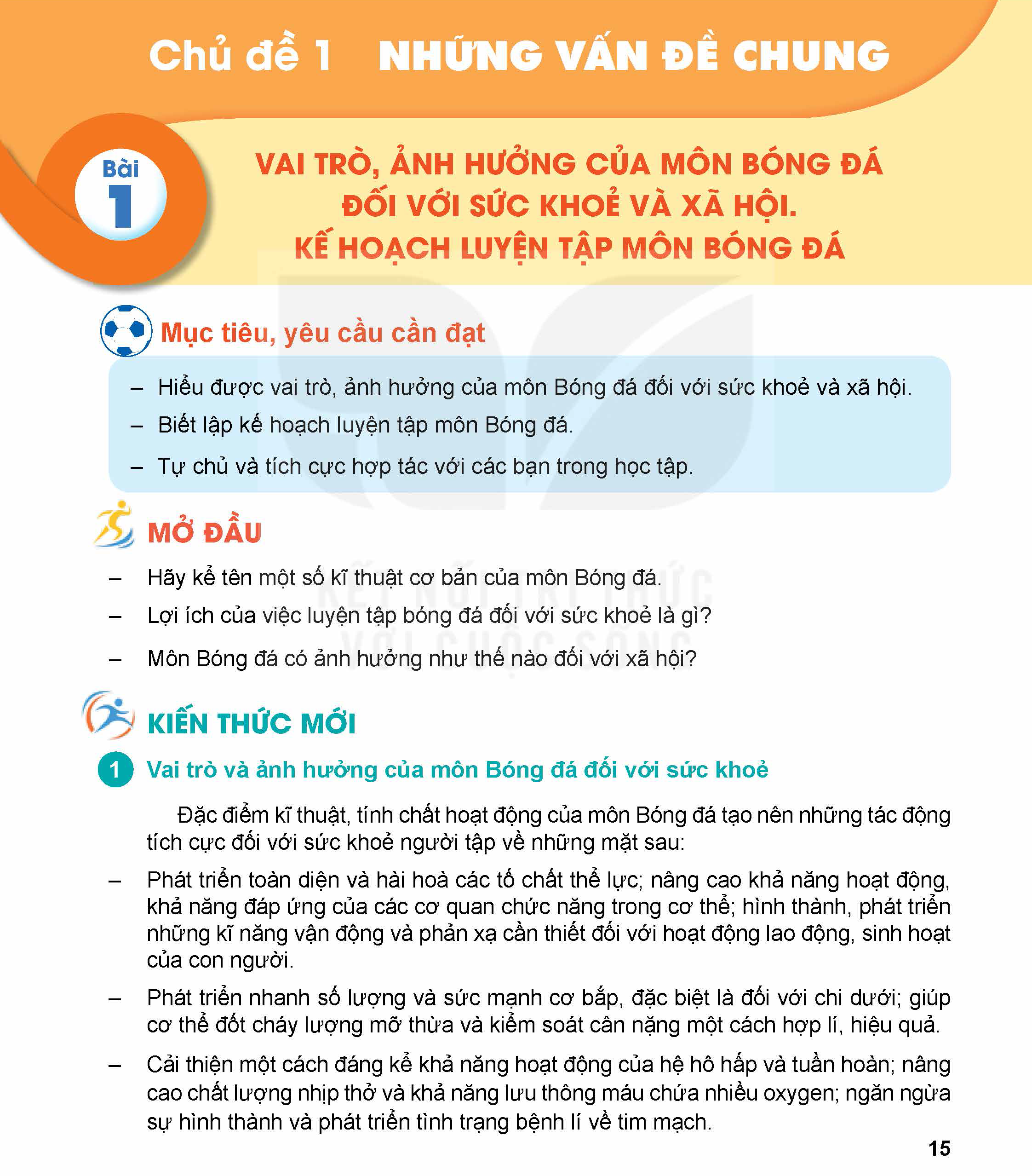 bai-1-vai-tro-anh-huong-cua-mon-bong-da-doi-voi-suc-khoe-va-xa-hoi-ke-hoach-luyen-tap-mon-bong-da-12602