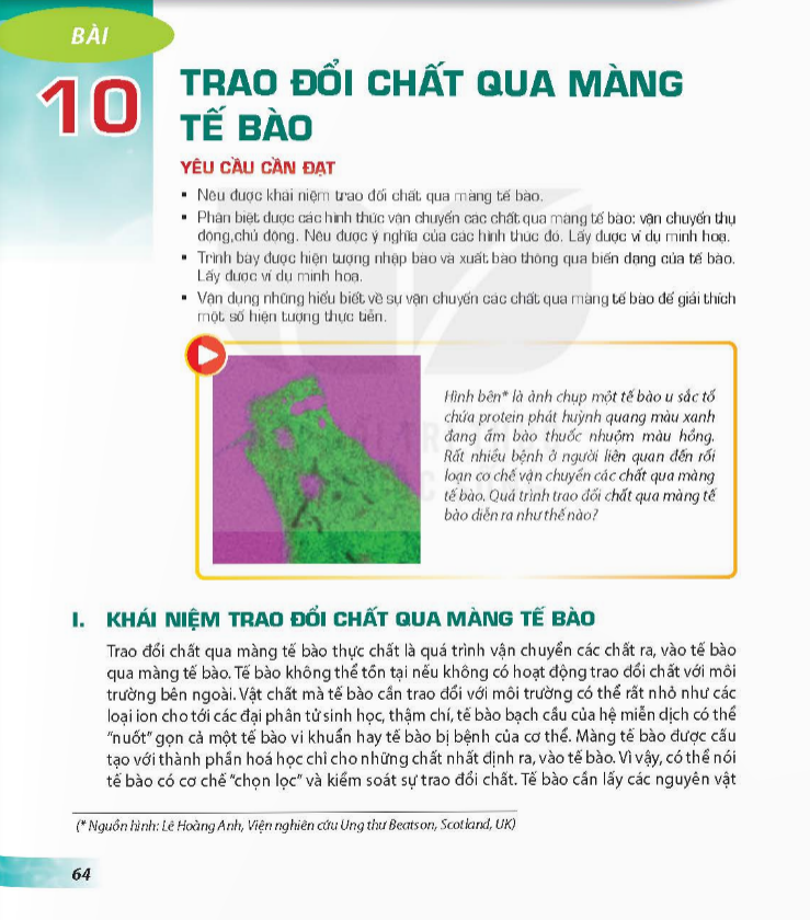 bai-10-trao-doi-chat-qua-mang-te-bao-3721