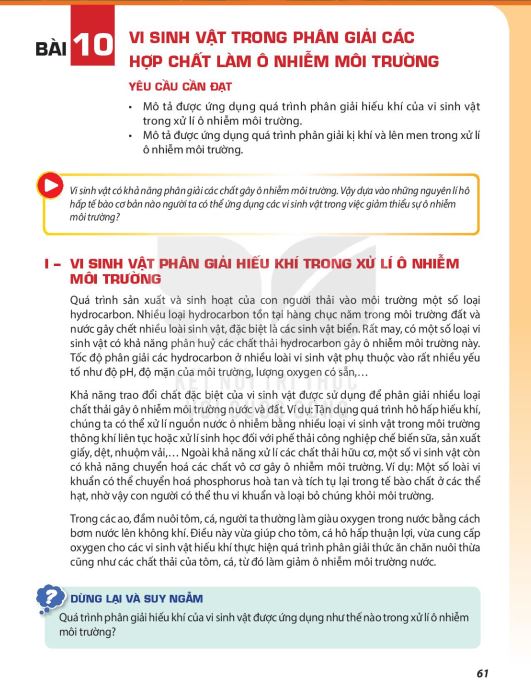 bai-10-vi-sinh-vat-trong-phan-giai-cac-hop-chat-lam-o-nhiem-moi-truong-13231