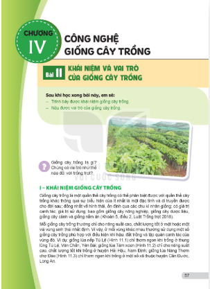 bai-11-khai-niem-va-vai-tro-cua-giong-cay-trong-13269