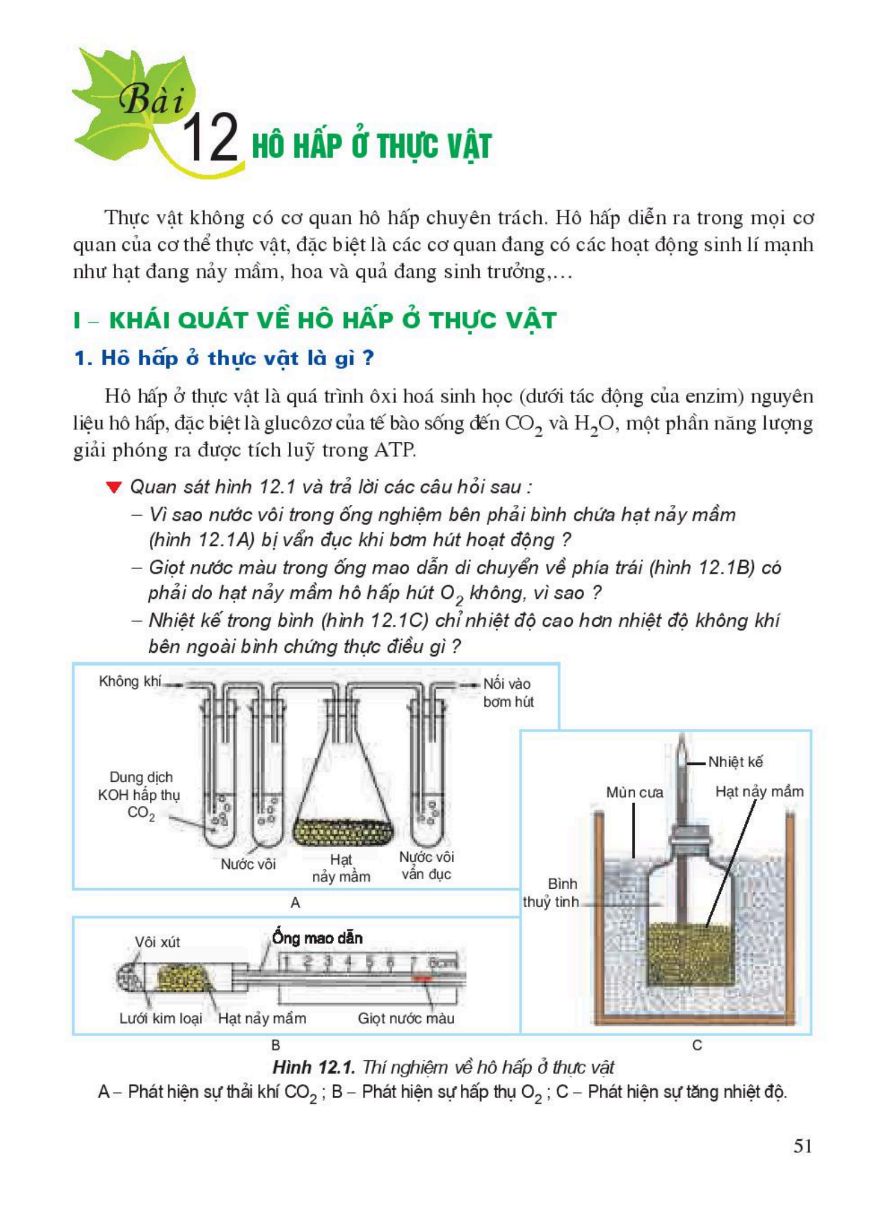 bai-12-ho-hap-o-thuc-vat-3414