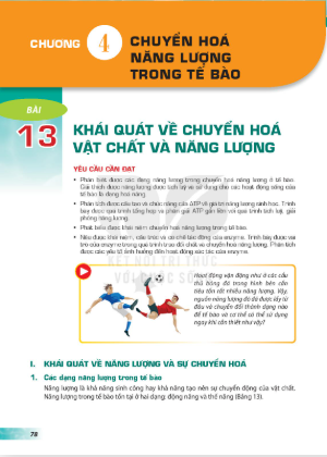 bai-13-khai-quat-ve-chuyen-hoa-vat-chat-va-nang-luong-12834