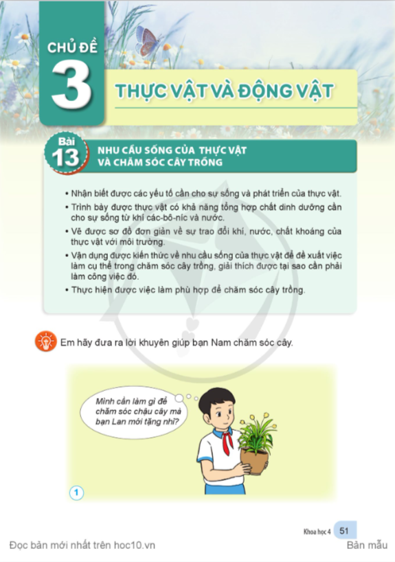 bai-13-nhu-cau-song-cua-thuc-vat-va-cham-soc-cay-trong-10837