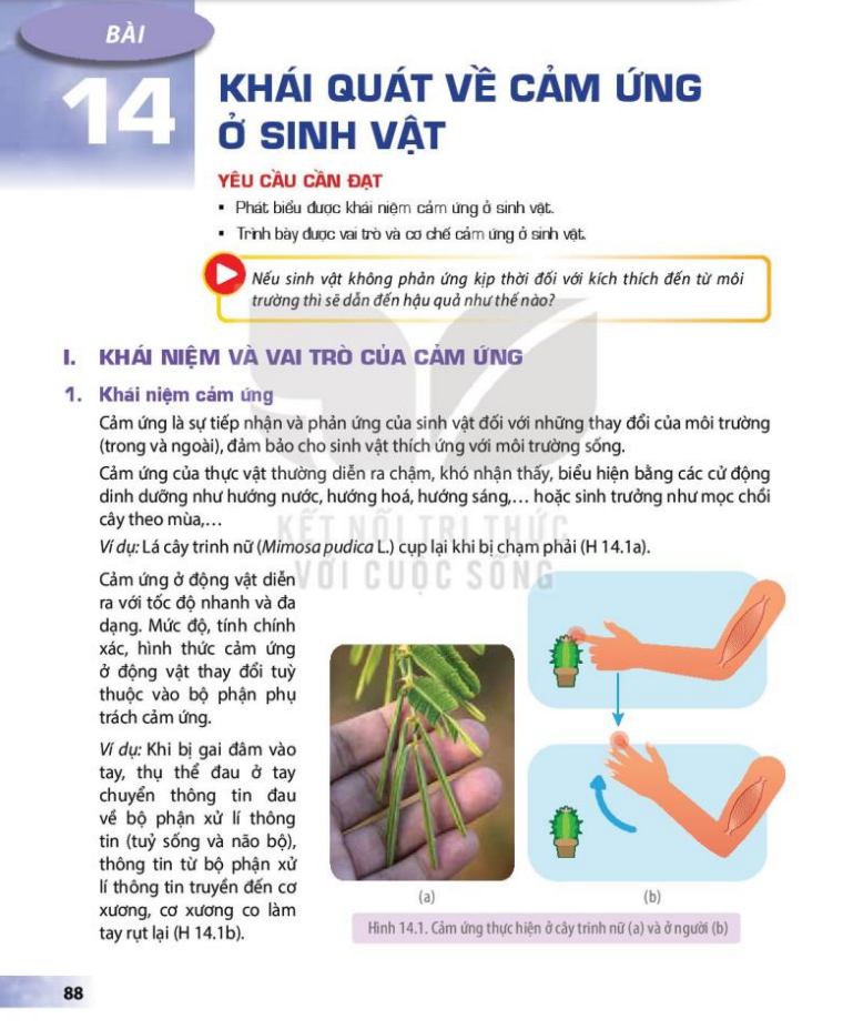 bai-14-khai-quat-ve-cam-ung-o-sinh-vat-3656