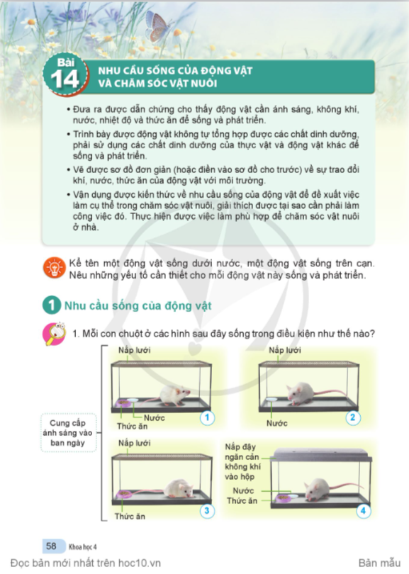 bai-14-nhu-cau-song-cua-dong-vat-va-cham-soc-vat-nuoi-10838