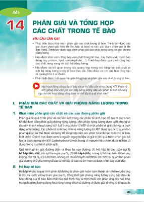 bai-14-phan-giai-va-tong-hop-cac-chat-trong-te-bao-12835