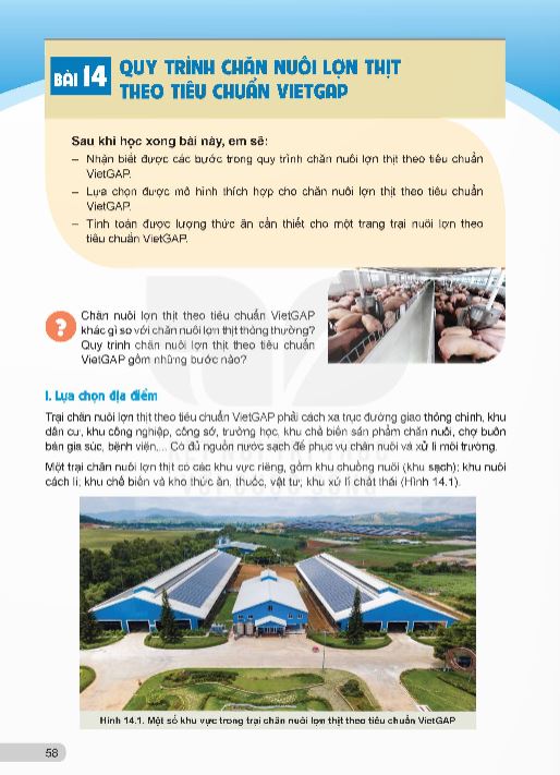 bai-14-quy-trinh-chan-nuoi-lon-thit-theo-tieu-chuan-vietgap-13799
