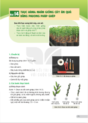 bai-14-thuc-hanh-nhan-giong-cay-an-qua-bang-phuong-phap-ghep-13276