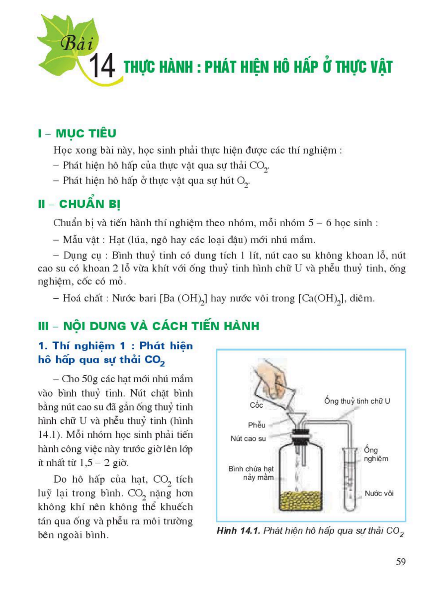 bai-14-thuc-hanh-phat-hien-ho-hap-o-thuc-vat-3416