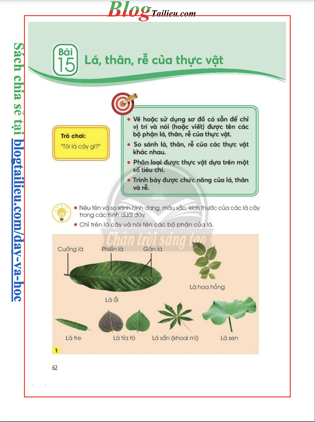 bai-15-la-than-re-cua-thuc-vat-4957