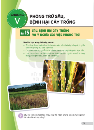 bai-15-sau-benh-hai-cay-trong-va-y-nghia-cua-viec-phong-tru-13288
