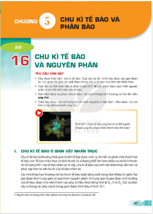 bai-16-chu-ki-te-bao-va-nguyen-phan-12852