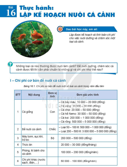 bai-16-thuc-hanh-lap-ke-hoach-nuoi-ca-canh-7495