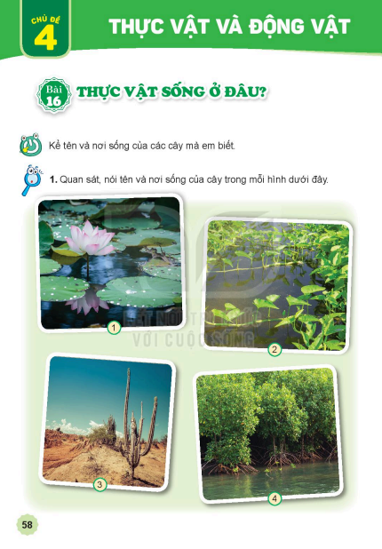 bai-16-thuc-vat-song-o-dau-7119