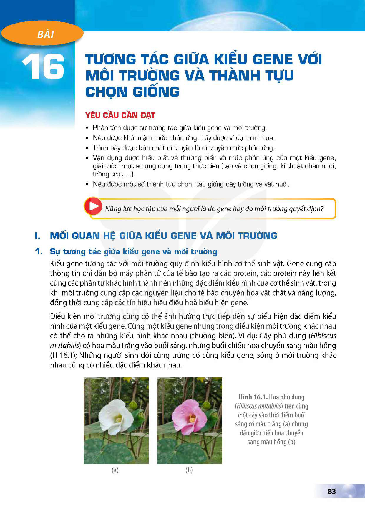 bai-16-tuong-tac-giua-kieu-gene-voi-moi-truong-va-thanh-tuu-chon-giong-12977