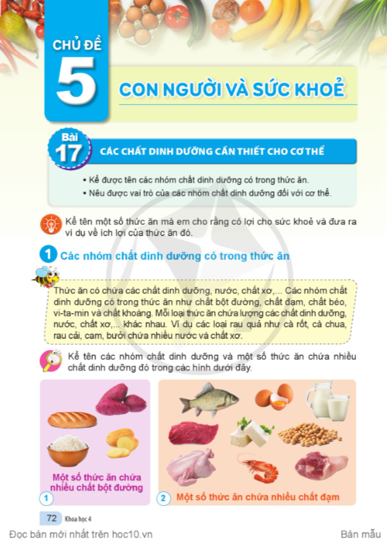 bai-17-cac-chat-dinh-duong-can-thiet-cho-co-the-10866