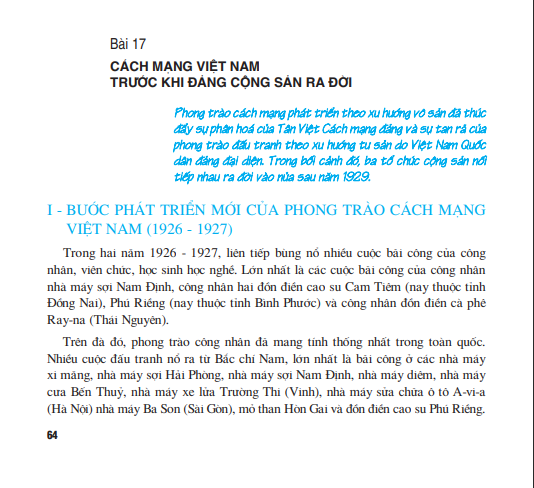 bai-17-cach-mang-viet-nam-truoc-khi-dang-cong-san-ra-doi-2349