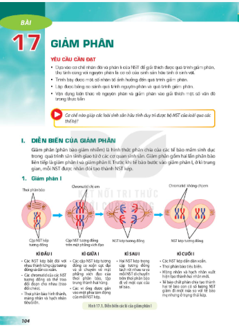 bai-17-giam-phan-12853