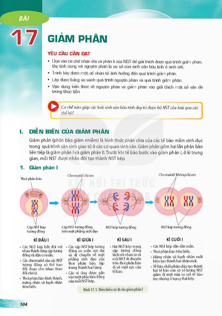 bai-17-giam-phan-3729