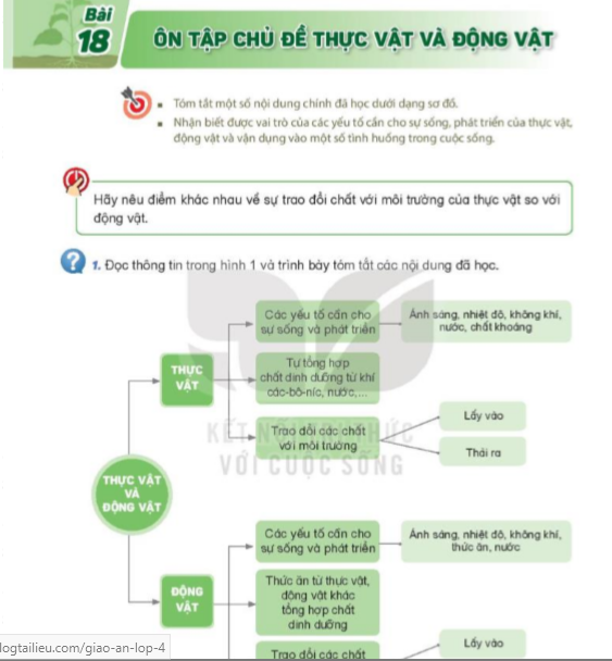 bai-18-on-tap-chu-de-thuc-vat-va-dong-vat-8140