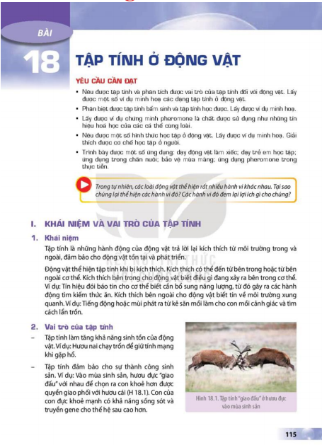 bai-18-tap-tinh-o-dong-vat-12874