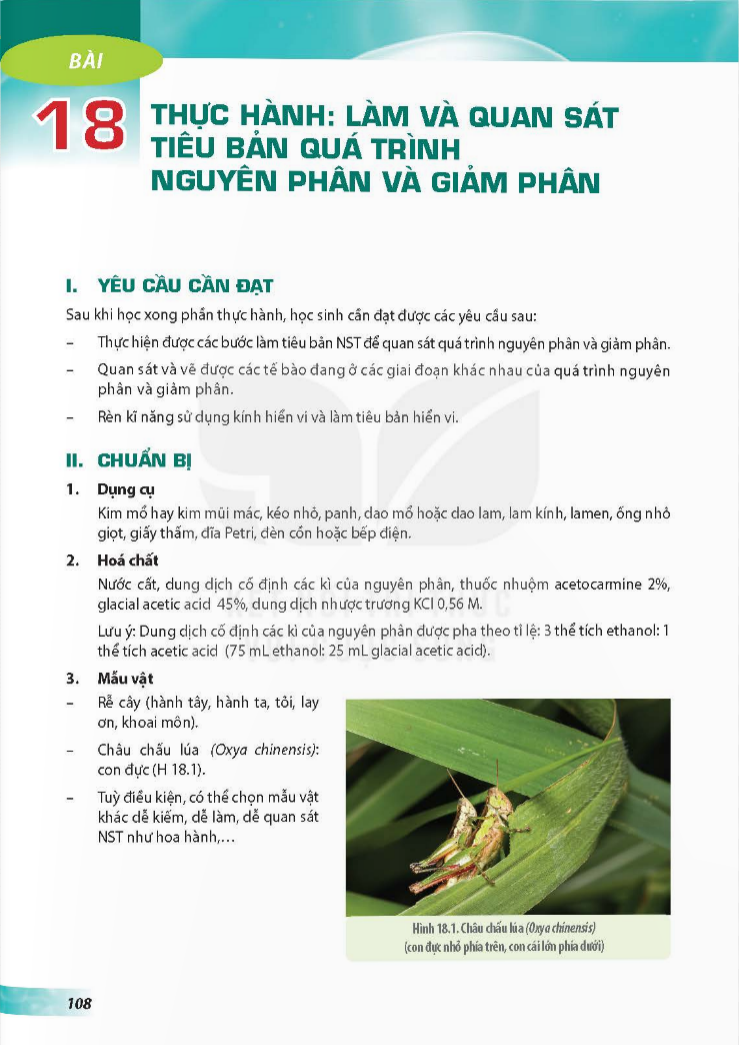 bai-18-thuc-hanh-lam-va-quan-sat-tieu-ban-qua-trinh-nguyen-phan-va-giam-phan-3730