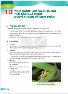 bai-18-thuc-hanh-lam-va-quan-sat-tieu-ban-qua-trinh-nguyen-phan-va-giam-phan-12858