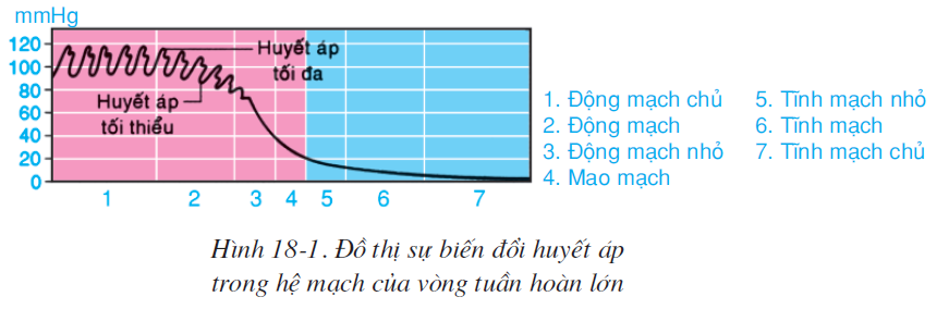 bai-18-van-chuyen-mau-qua-he-mach-ve-sinh-he-tuan-hoan-2511