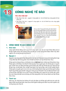 bai-19-cong-nghe-te-bao-12860