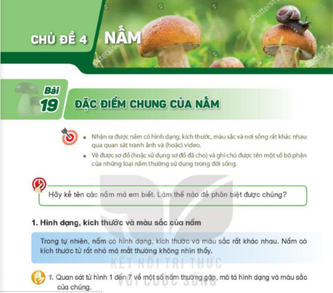 bai-19-dac-diem-chung-cua-nam-8167