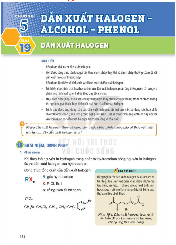 bai-19-dan-xuat-halogen-13659