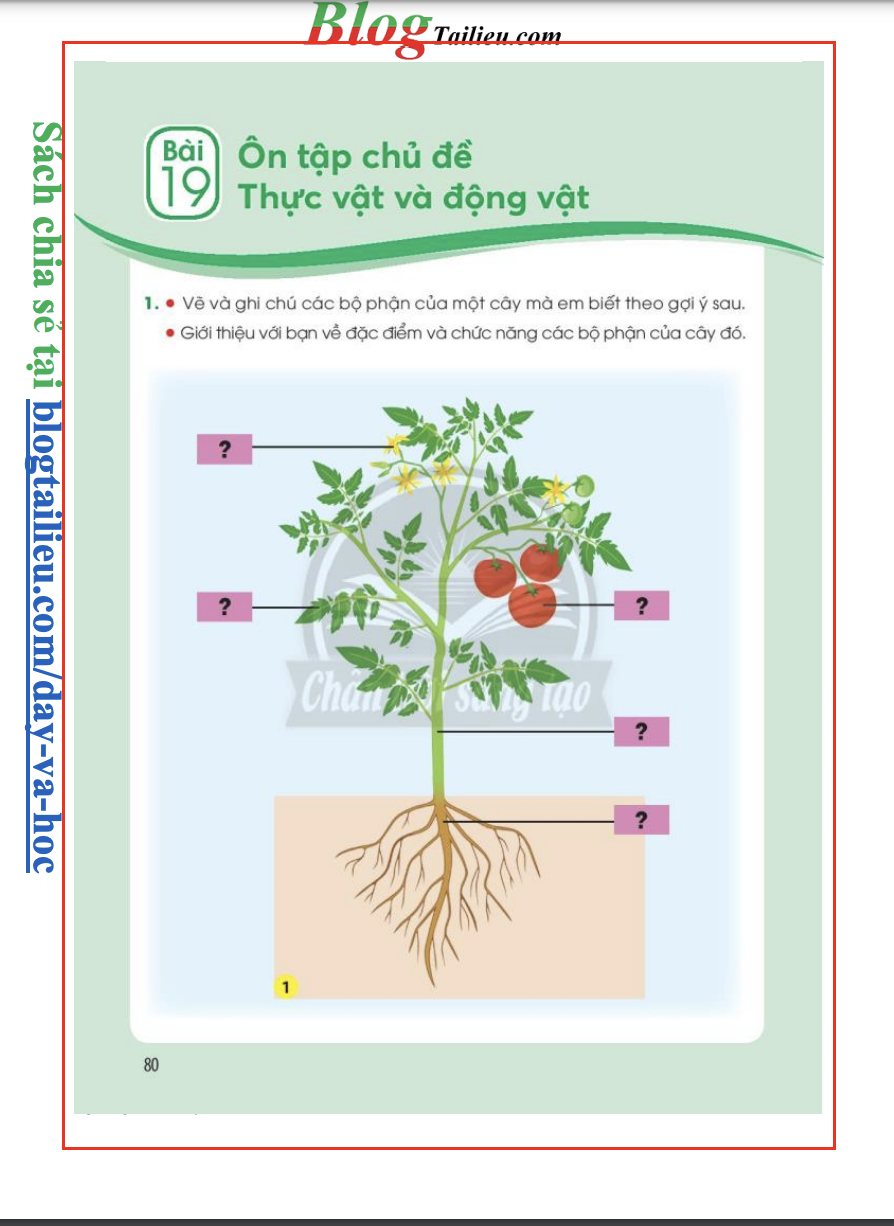 bai-19-on-tap-chu-de-thuc-vat-va-dong-vat-5032