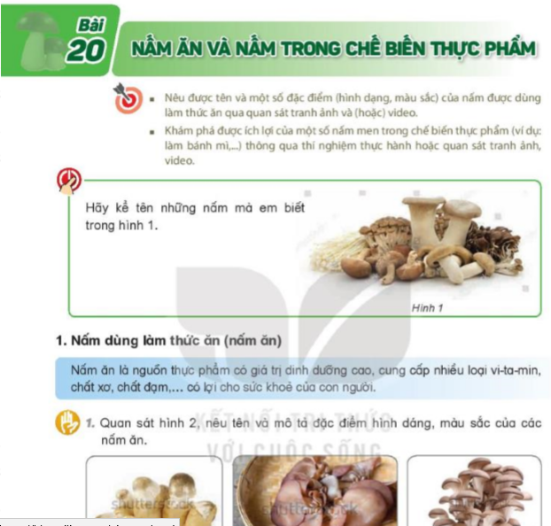 bai-20-nam-an-va-nam-trong-che-bien-thuc-pham-8168