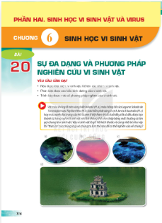 bai-20-su-da-dang-va-phuong-phap-nghien-cuu-vi-sinh-vat-12862