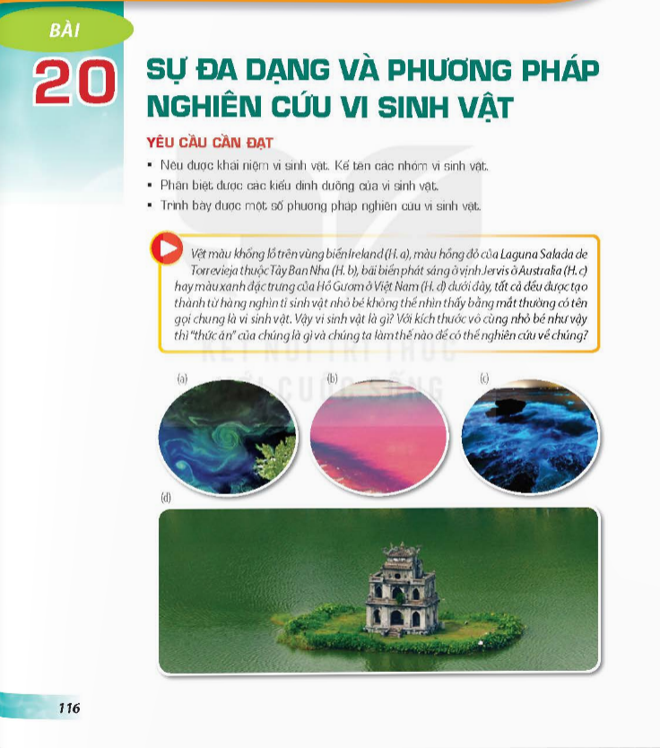 bai-20-su-da-dang-va-phuong-phap-nghien-cuu-vi-sinh-vat-3735