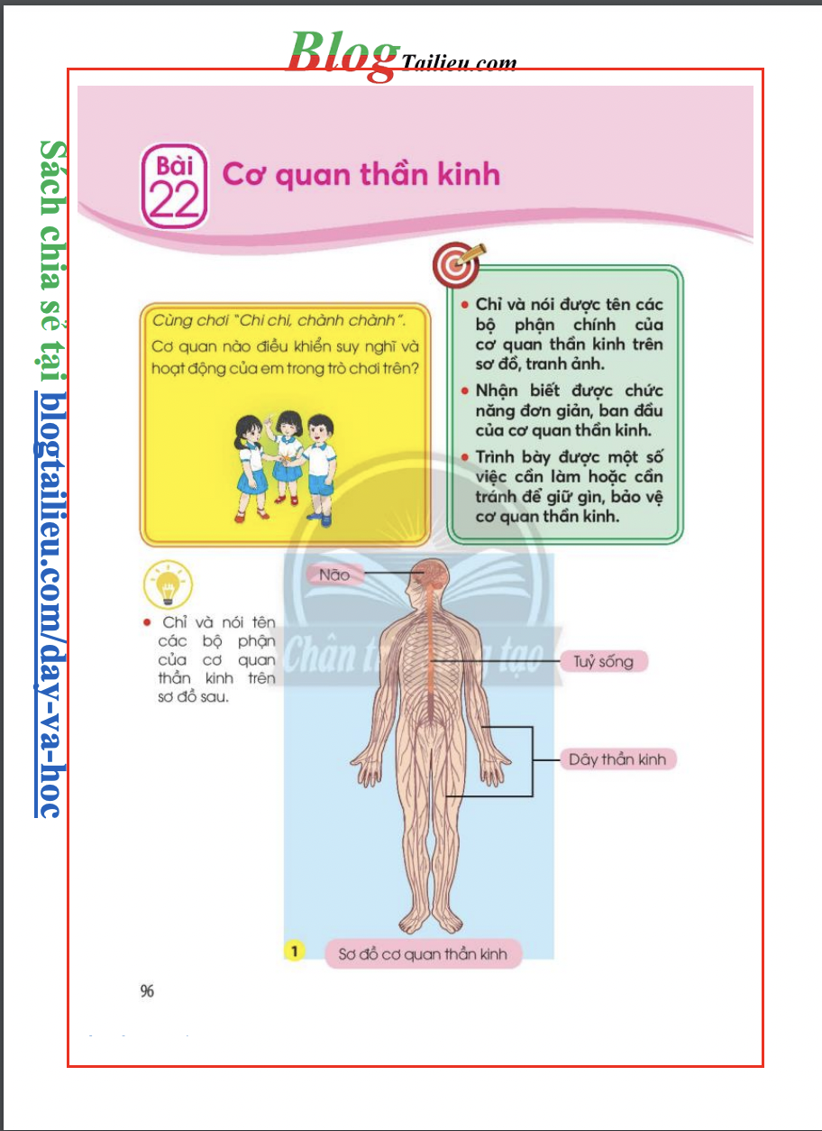 bai-22-co-quan-than-kinh-5035