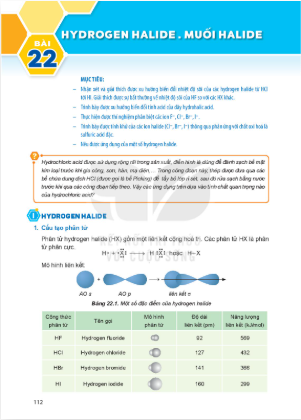bai-22-hydrogen-halide-muoi-halide-13555