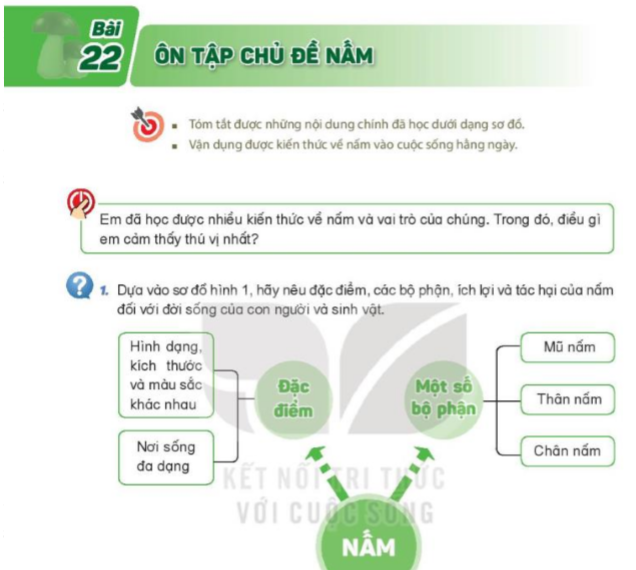 bai-22-on-tap-chu-de-nam-8254