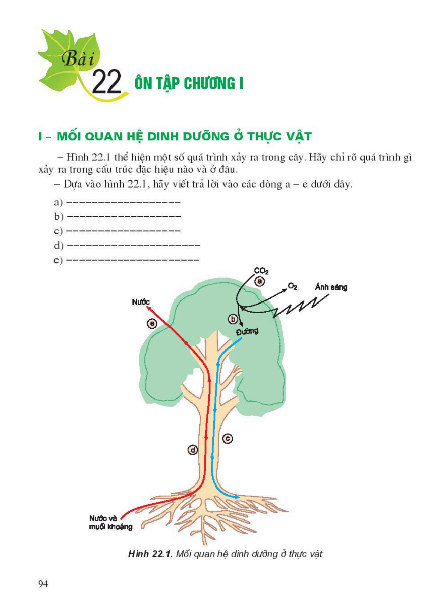 bai-22-on-tap-chuong-i-3431