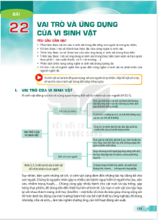 bai-22-vai-tro-va-ung-dung-cua-vi-sinh-vat-12871