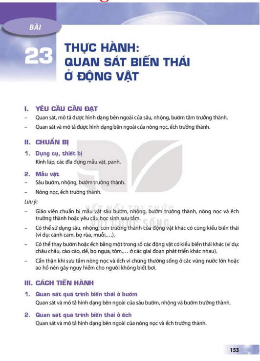 bai-23-thuc-hanh-quan-sat-bien-thai-o-dong-vat-12892