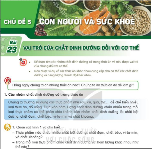 bai-23-vai-tro-cua-chat-dinh-duong-doi-voi-co-the-8255