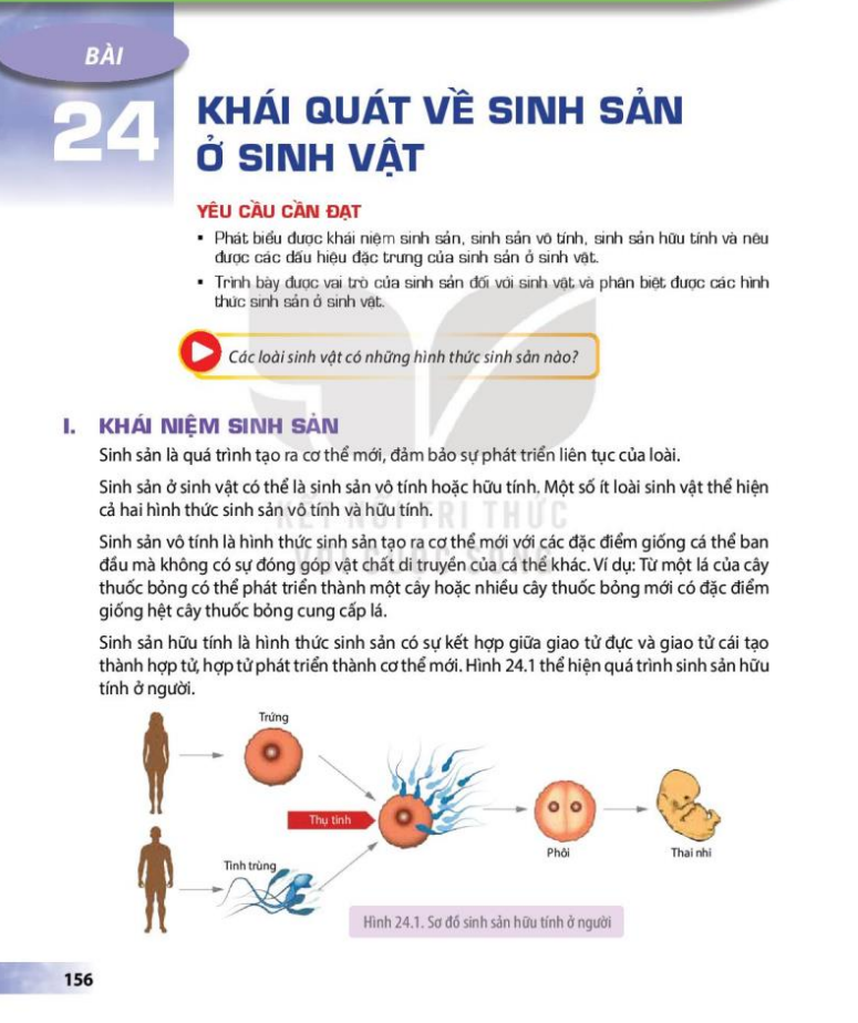 bai-24-khai-quat-ve-sinh-san-o-sinh-vat-3669