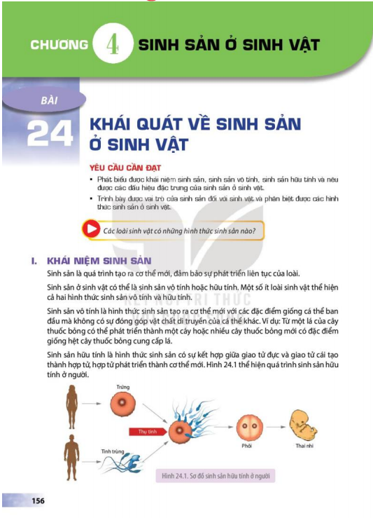 bai-24-khai-quat-ve-sinh-san-o-sinh-vat-12893