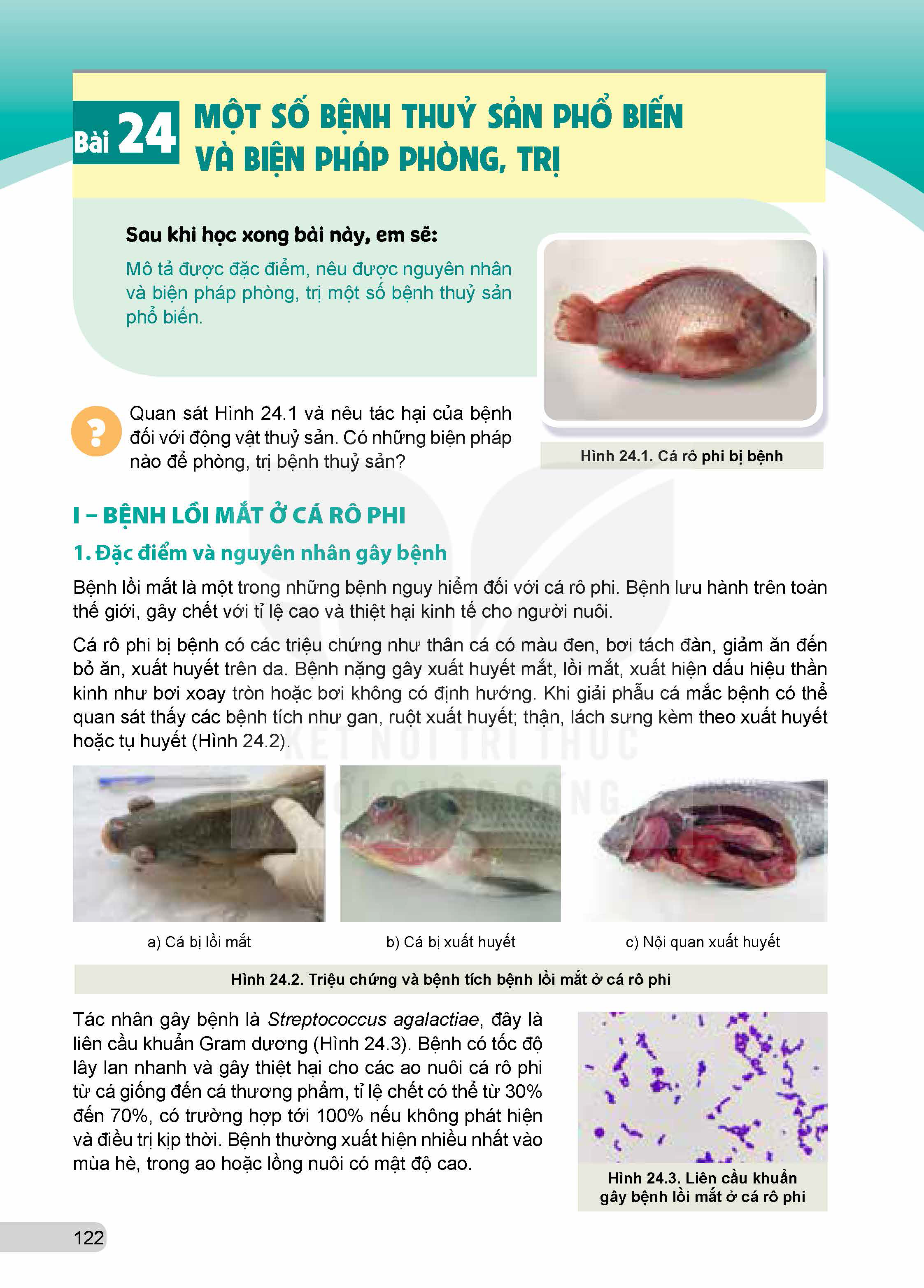 bai-24-mot-so-benh-thuy-san-pho-bien-va-bien-phap-phong-tri-12305