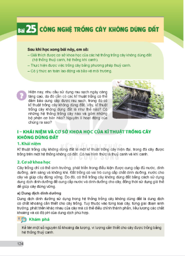 bai-25-cong-nghe-trong-cay-khong-dung-dat-13324