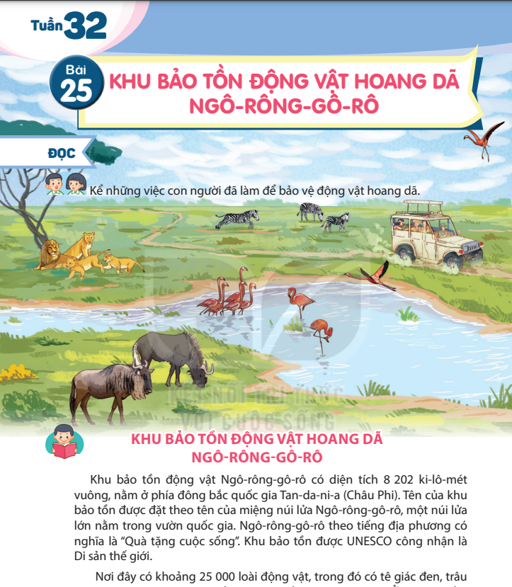 bai-25-khu-bao-ton-dong-vat-hoang-da-ngo-rong-go-ro-7361